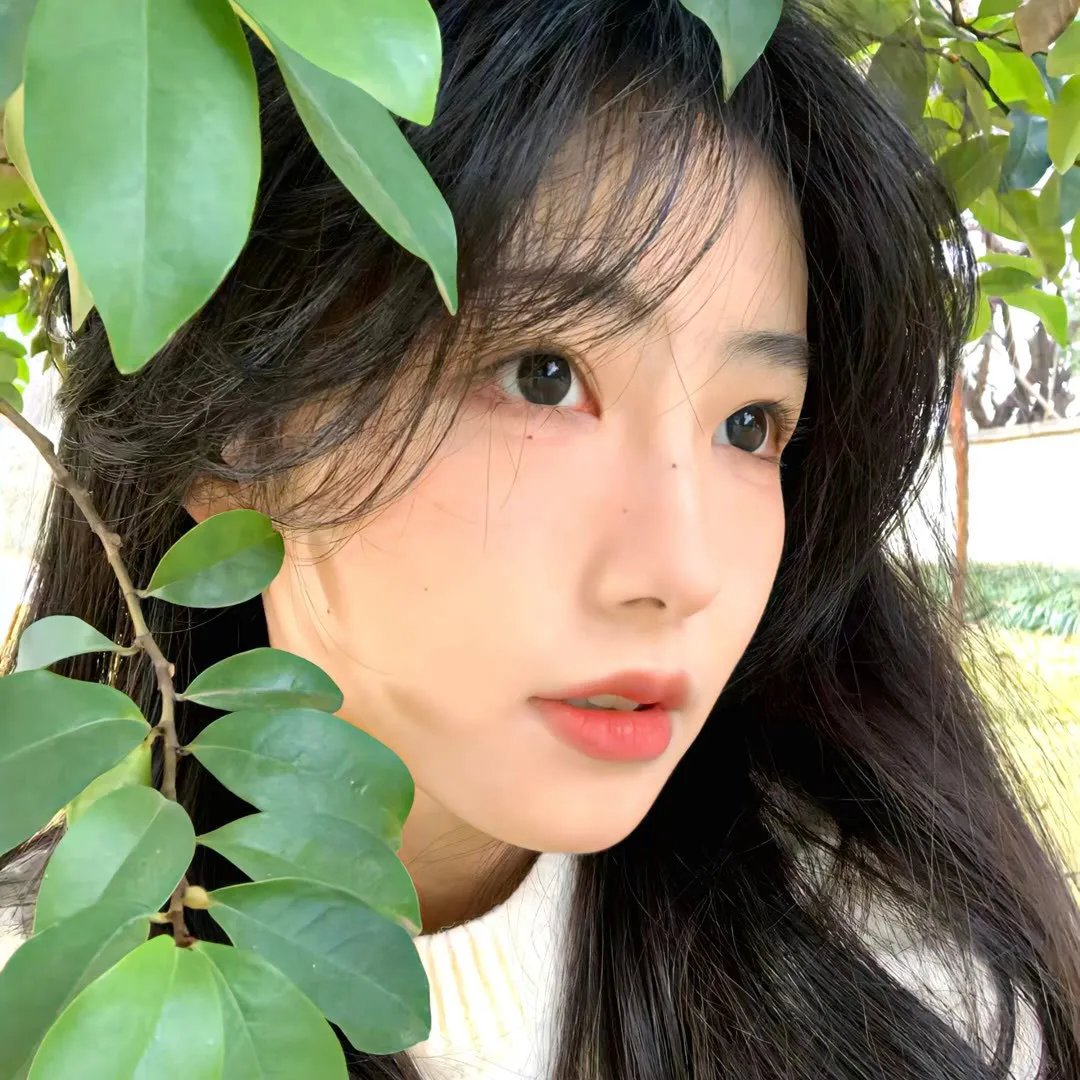 完美伴侣